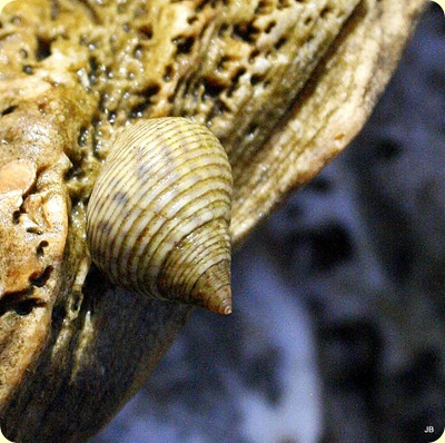 Travels with Emma: Do your boobs hang low, do they wobble to and fro?